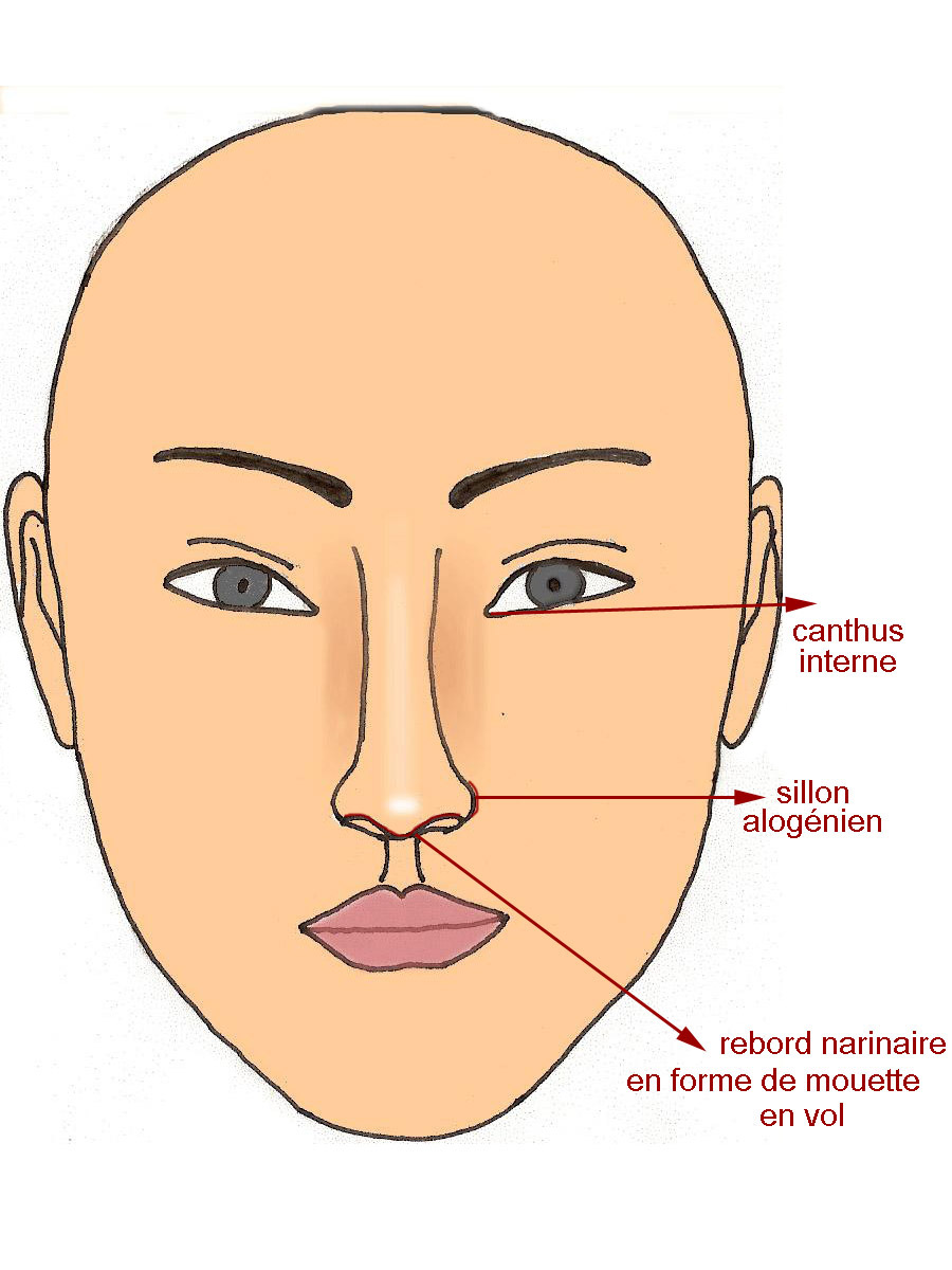 anatmacroface-nez-grand-rhinoplastie-chirurgie-esthetique